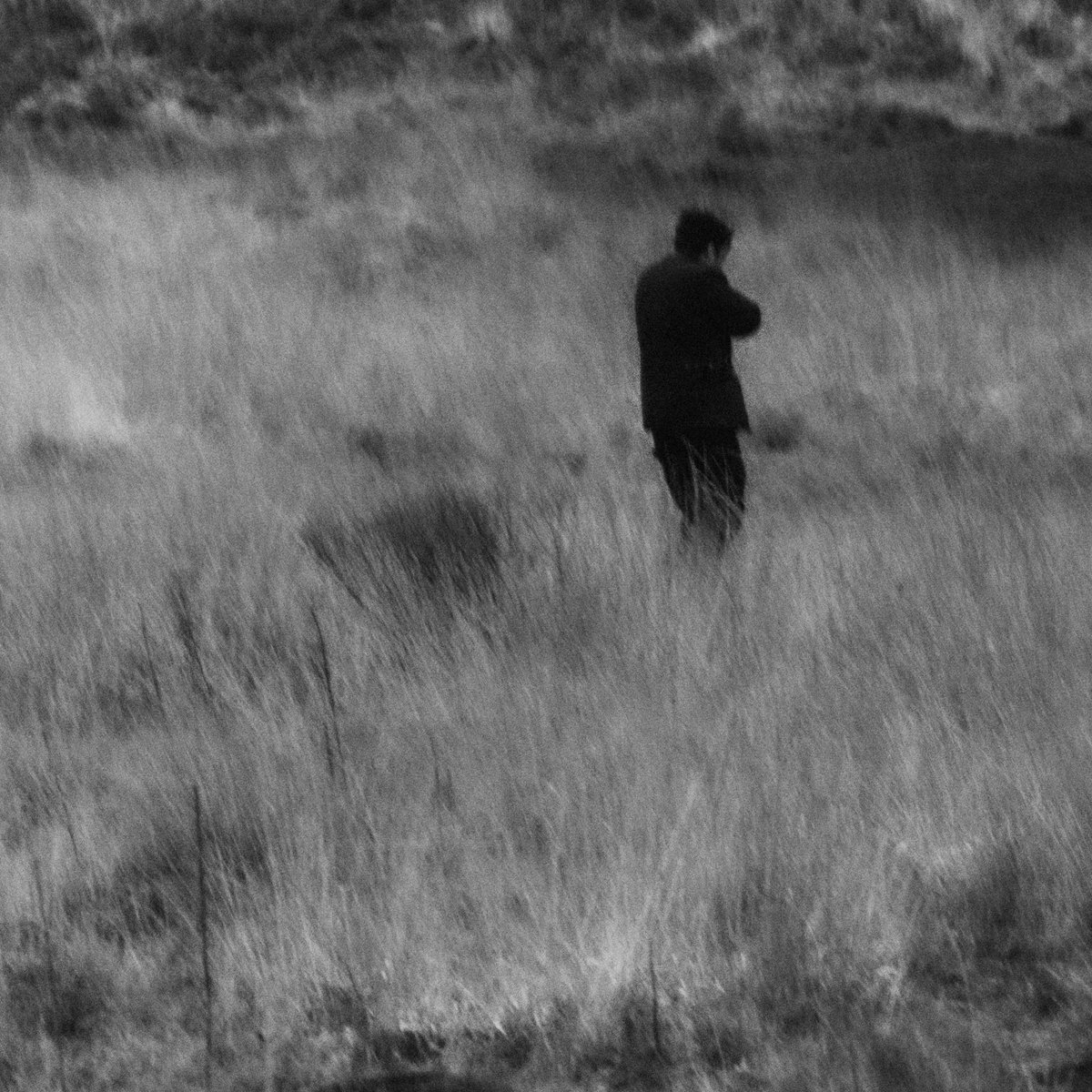 Where the wind blows