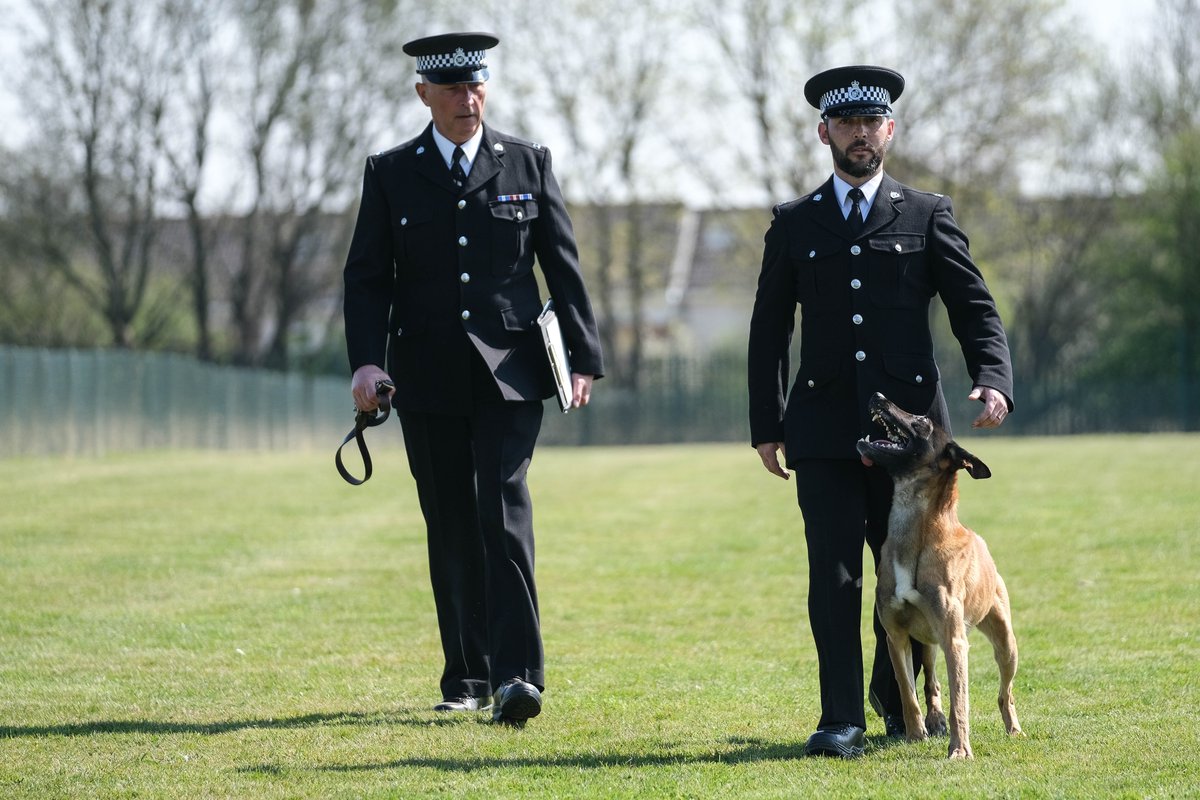 BCHPoliceDogs's tweet image. We hosted the Region Trials last week. It was a fantastic event. Congrats to all the teams who took part and well done to PC Nik Lofthouse and PD Adam who won overall 🏆 🐾