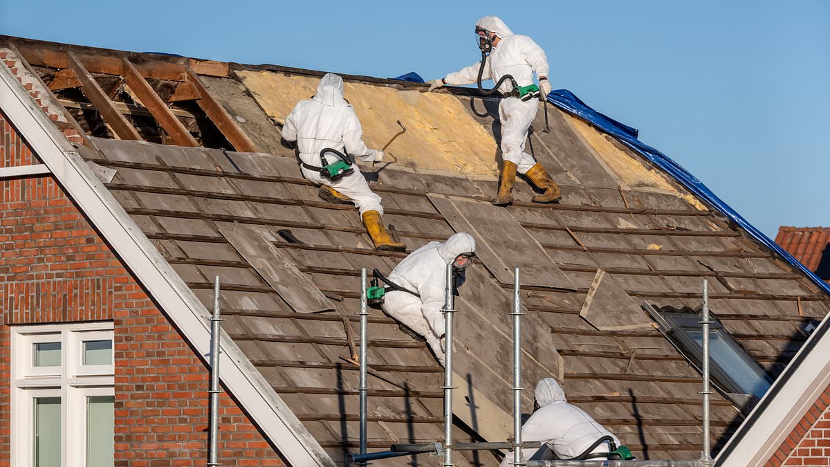 Leigh Day (@leighday_law) on Twitter photo .<a href="/BainsHarminder/">Harminder Bains</a> gave evidence with <a href="/AsbestosForum/">Asbestos Victims Support Group Forum UK</a> that they believe there should be a moratorium on any further Gov contracts being awarded to Cape and Altrad until they agree to pay £10m towards medical research to find a cure for #mesothelioma.
dailymail.co.uk/news/article-1… .<a href="/BainsHarminder/">Harminder Bains</a> gave evidence with <a href="/AsbestosForum/">Asbestos Victims Support Group Forum UK</a> that they believe there should be a moratorium on any further Gov contracts being awarded to Cape and Altrad until they agree to pay £10m towards medical research to find a cure for #mesothelioma.
dailymail.co.uk/news/article-1…