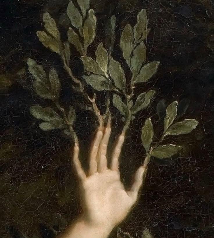 AriannadaTodi tweet media