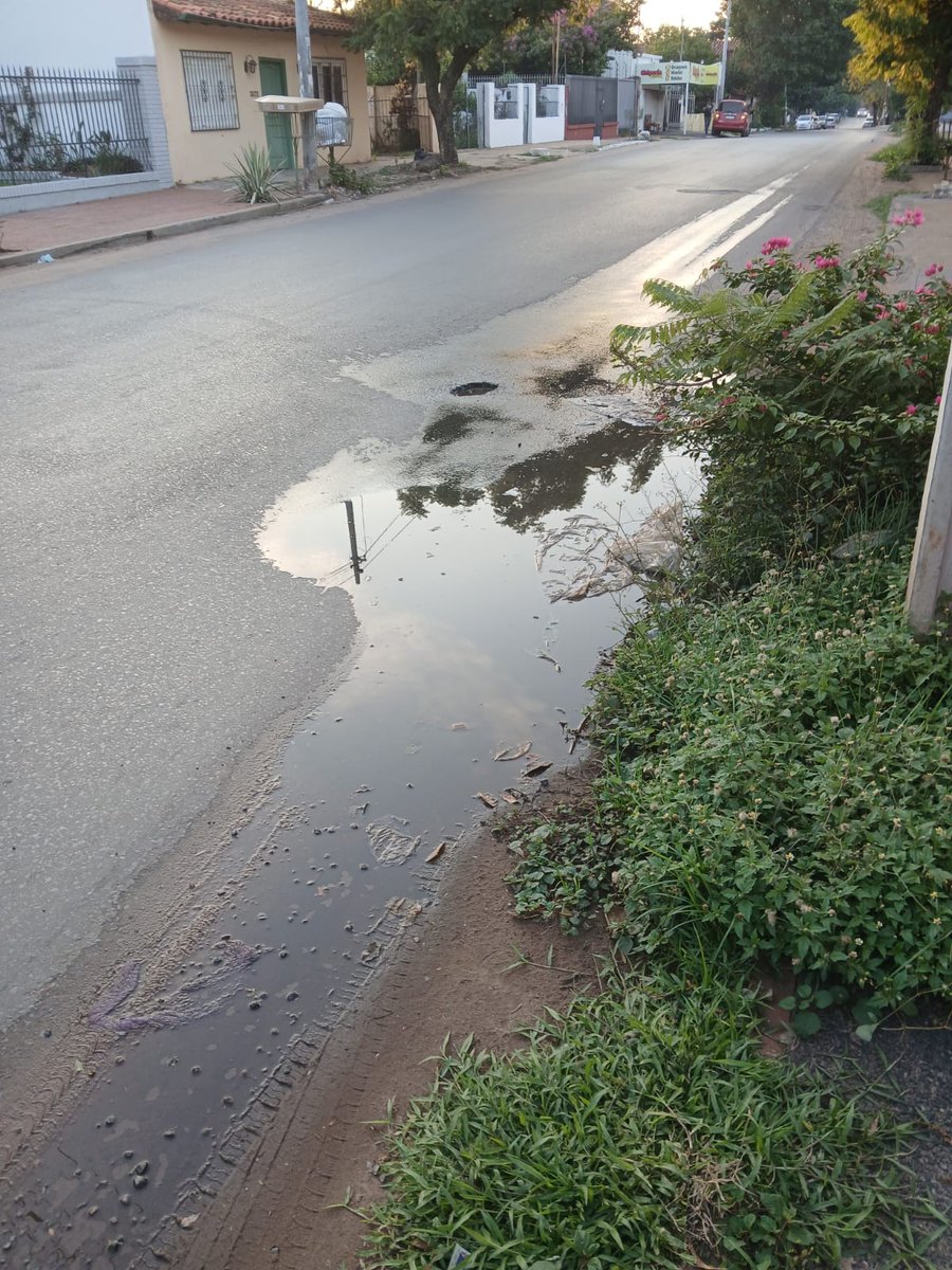 ireneoRomanPJ's tweet photo. Por favor Señores de @EssapSA caño roto sobre Concepción 3387 casi Paraíso- barrio San Pablo.  Mucha agua pérdida ya. https://t.co/oJ1u8xkSHP