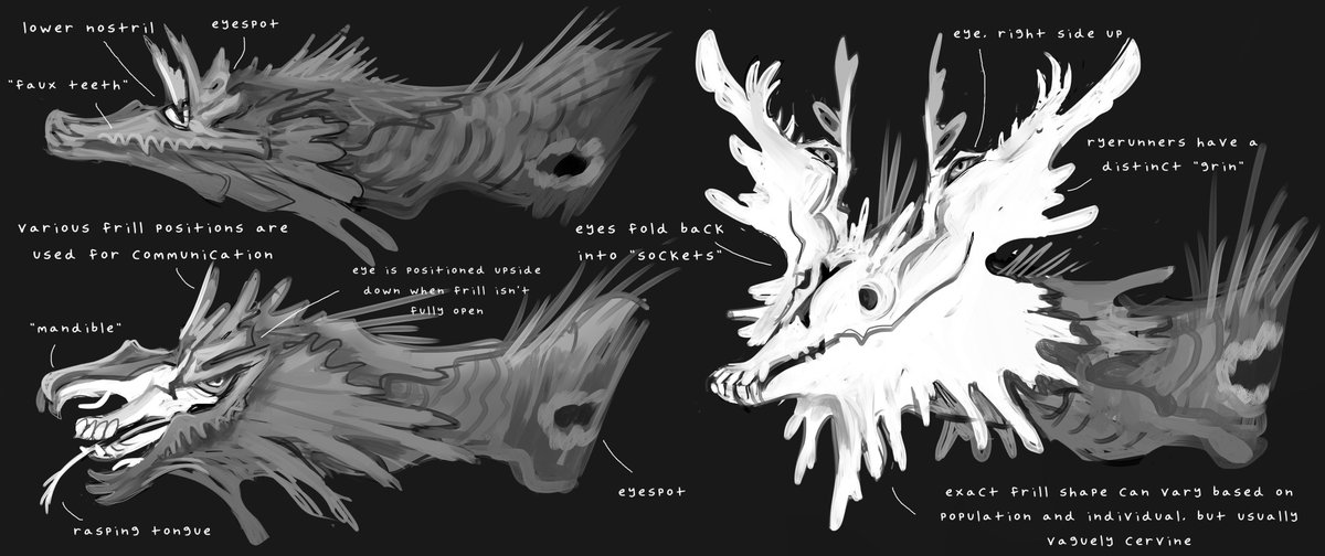 SparrowLucero's tweet image. The ryerunner, an ostrich-sized herbivore that lives on the wheat planet. Despite their plant-based diet, they're a predator, killing and "dissecting" other animals to kleptoparasitically eat their stomach contents. Their white frill is used to disorientate prey in dull light.