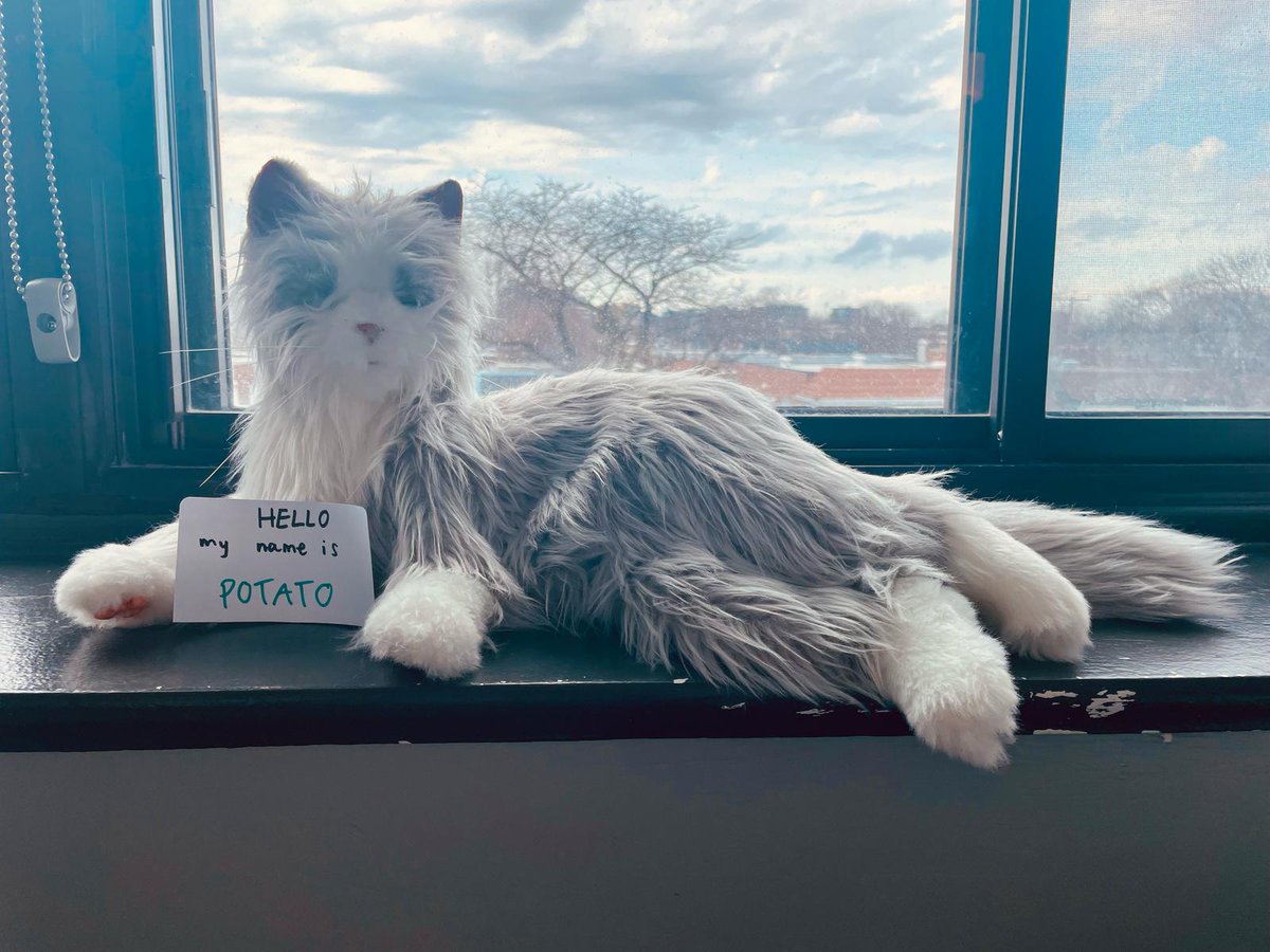 Welcome to the fam, Potato 👋

Potato, moves and resembles the real thing. These stuffed animals are often used for therapy, with children as well as alzheimer patients. Caring for him and playing together is a highlight of the day for the children. So, welcome home, Potato! 😺❤️