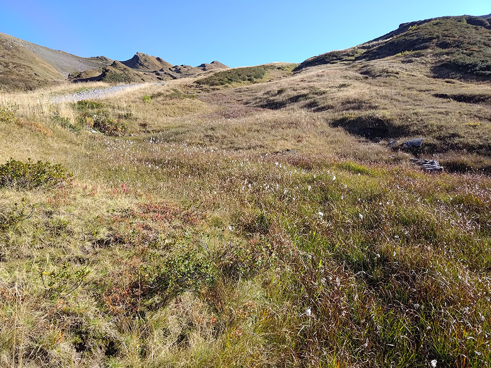 Prefet74's tweet photo. #Environnement #Biodiversité | La 50ᵉ zone de protection de biotopes (APPB) vient d'être créée en #HauteSavoie : la Pointe de Vorlaz, sur la commune de #Montriond, un trésor naturel d’environ 185 hectares désormais protégé !
Consultez l'arrêté sur https://t.co/TyOSmnWgMH https://t.co/KQan7zttQg