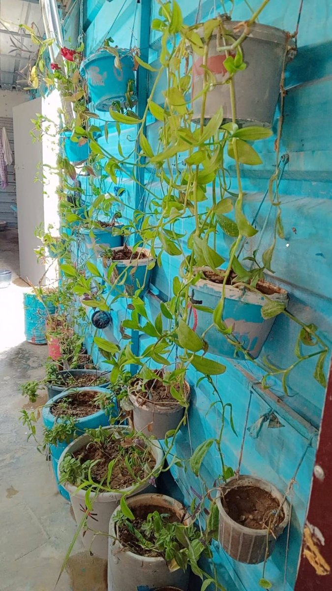 Lemon Tree Trust tweet media