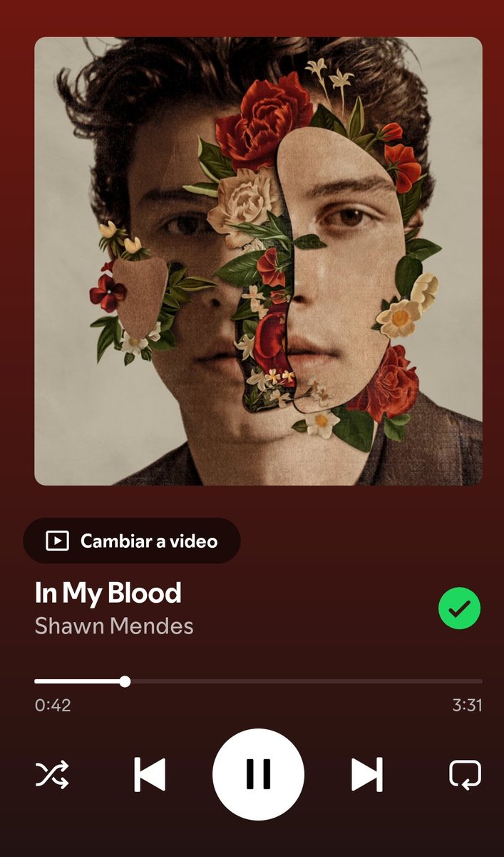 Mu_InWonder's tweet image. Let&apos;s Stream #InMyBlood to 1B
🎉❤️ We can do this #MendesArmy