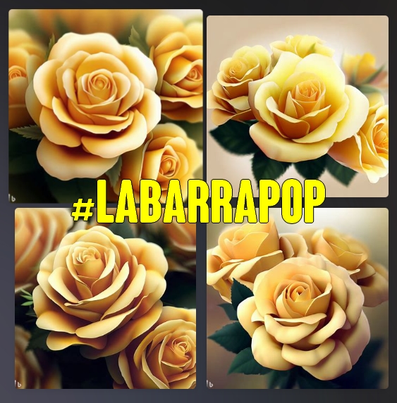 🌈 "¡Hola, hola! ¡Vamos por un día lleno de energía, creatividad y alegría! ☀️🎉"FLORES PARA LAS MAS LINDAS DE #LABARRAPOP
<a href="/ChiquitaCastr16/">Chiquita🛼🍓🍬</a>
<a href="/Emelyro84313335/">Emely rodriguez</a>
<a href="/LorenaC44634079/">Lorena Cortés</a>
<a href="/Edita75012321/">Edith</a>
<a href="/Minerva44827476/">MINERVA</a>
<a href="/LorenaC44634079/">Lorena Cortés</a>
<a href="/miguens3_silvia/">Silvia Miguens</a>
<a href="/gane0101/">Elena GN</a> <a href="/nuvip08/">Nuvia</a> 
<a href="/Paula48079240/">Paula</a>