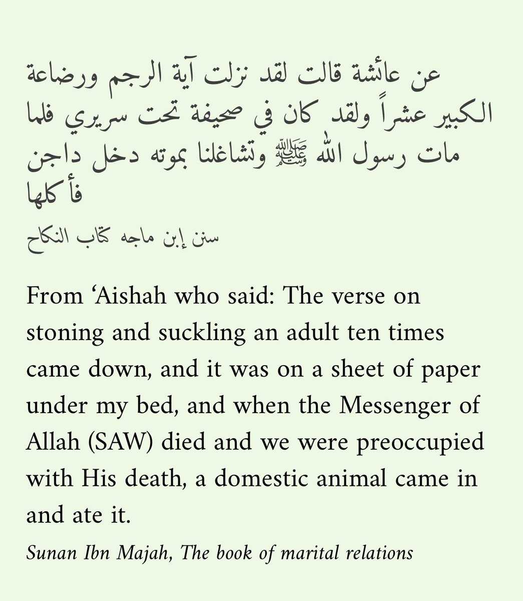 The_Hopp_er's tweet photo. @MrAdnanRashid Okay. No justification. Just the below hadith from Ayesha on the authenticity of the Holy Quran:

Btw: “according to Shia we never had the Quran” is a lie/fabrication. 

Hence you’re scared to debate Allahyari. https://t.co/P4022gbJLN