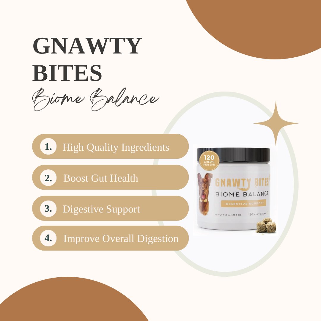 A strong gut means a strong pup! 🐶🦴 Help your dog stay regular, energetic, and thriving with Biome Balance. 🐾🐕️💪

#gnawtybites #gnawtypets #biomebalance #dogdigestion #digestivesupport #guthealth #doghealth #madeintheusa #dogsupplements #glucosamine #dogtreat #enzymes
