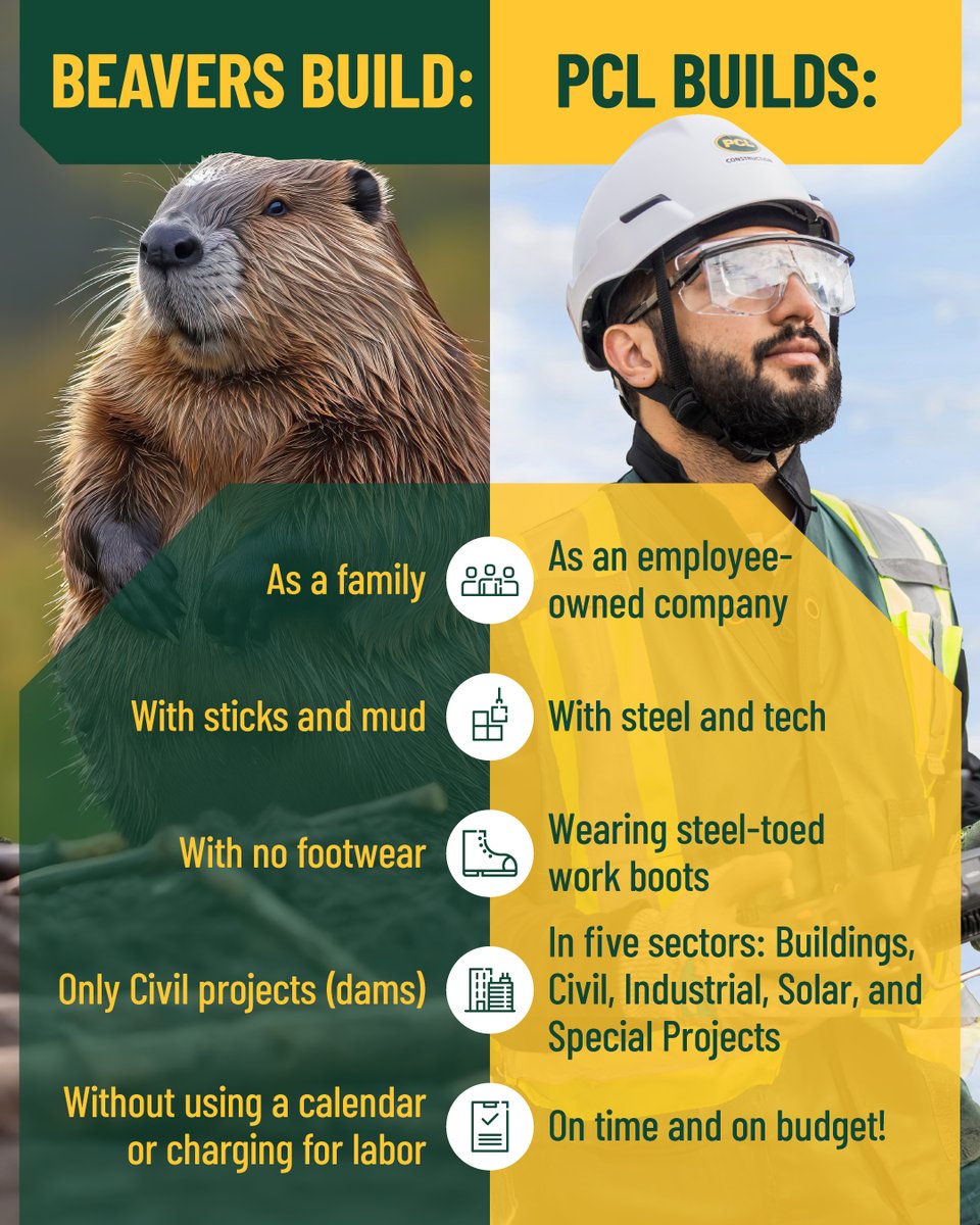 Beavers don’t use calendars, budgets or tech for construction. 🦫

We do all three. ✅ 

Here’s to the original builders this #InternationalBeaverDay — we just took it up a few levels (like 50+ stories). 🏗️

#WeArePCL #DamProud #TogetherWeBuildSuccess