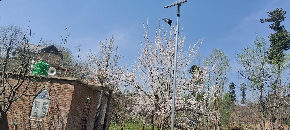 Choudhary Abdul Aziz (@choudharyabaziz) on Twitter photo Our mission and focus is on development. We have always talked about development today installed street lights at different spots in Panchayat Halqa Devpora.
<a href="/dmshopian/">District Shopian Official</a> <a href="/Informationspn/">Information & PR, Shopian</a> <a href="/shishrgupta/">Shishr Gupta</a> <a href="/adv_kullay/">Adv Shabir Ahmad kullay</a> <a href="/Chodharyabhamid/">Choudhary Abdul Hamid</a> <a href="/shopiankmr/">Shopian Kashmir شوپیان کشمیر</a> <a href="/shakilvet/">Dr Shakil Bhat (JKAS)</a> Our mission and focus is on development. We have always talked about development today installed street lights at different spots in Panchayat Halqa Devpora.
<a href="/dmshopian/">District Shopian Official</a> <a href="/Informationspn/">Information & PR, Shopian</a> <a href="/shishrgupta/">Shishr Gupta</a> <a href="/adv_kullay/">Adv Shabir Ahmad kullay</a> <a href="/Chodharyabhamid/">Choudhary Abdul Hamid</a> <a href="/shopiankmr/">Shopian Kashmir شوپیان کشمیر</a> <a href="/shakilvet/">Dr Shakil Bhat (JKAS)</a>
