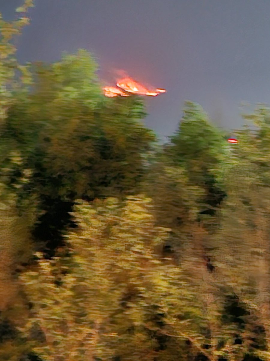 tinker_bell0's tweet image. Another raging fire on #MHNP F/10 side. Summers havsnt even started Protect our hills. Stop urbanisation. We wont survive without biodiversity. #SaveMHNP @CDAthecapital @DrMusadikMalik @ClimateChangePK