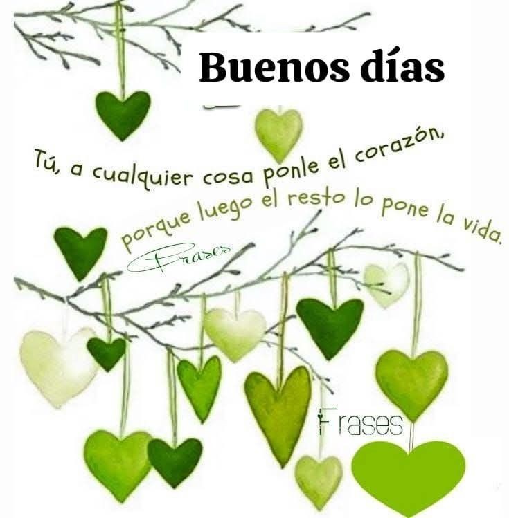 hasta la m. de la 4t/ANTIAMLOVERS tweet media