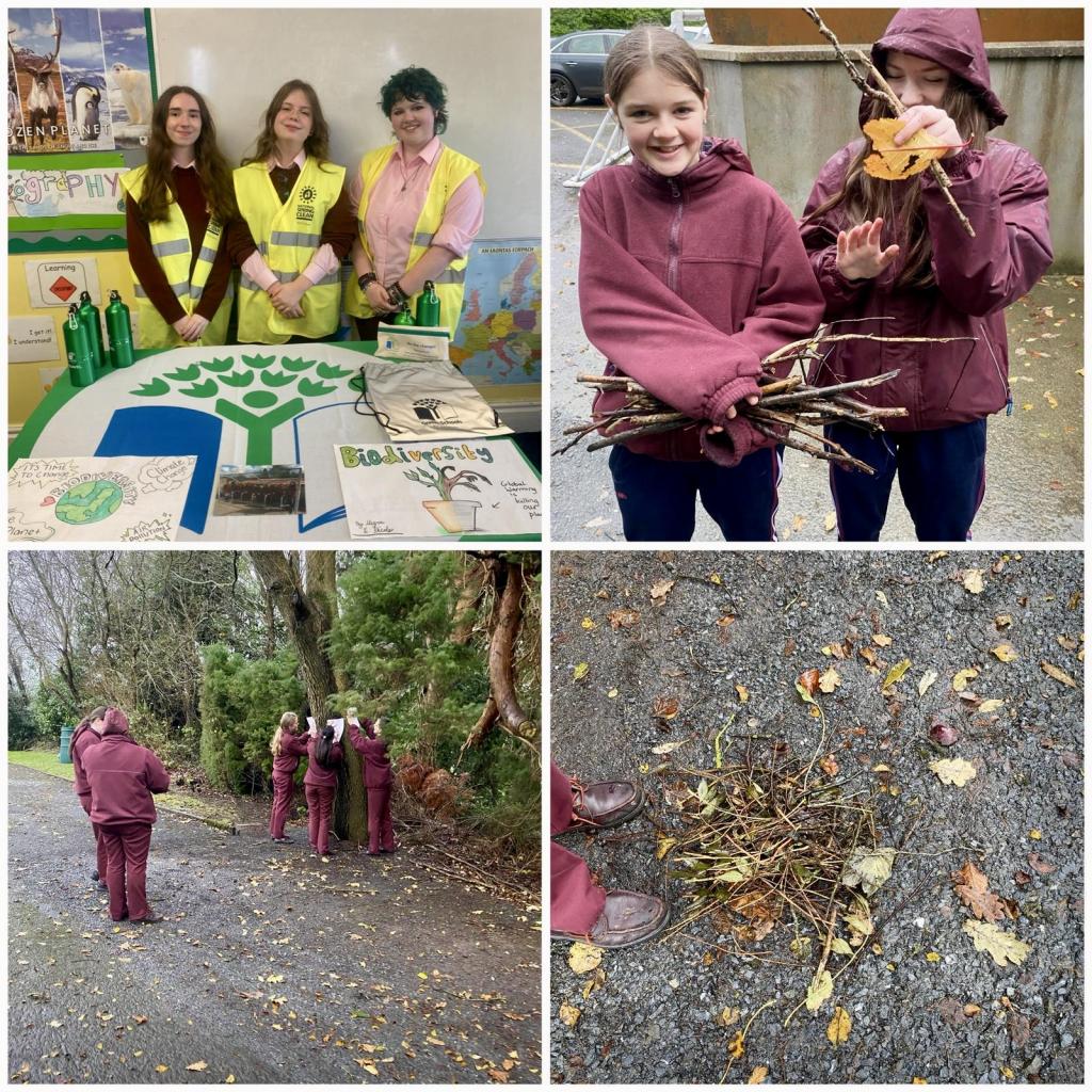 Loreto College Cavan tweet media