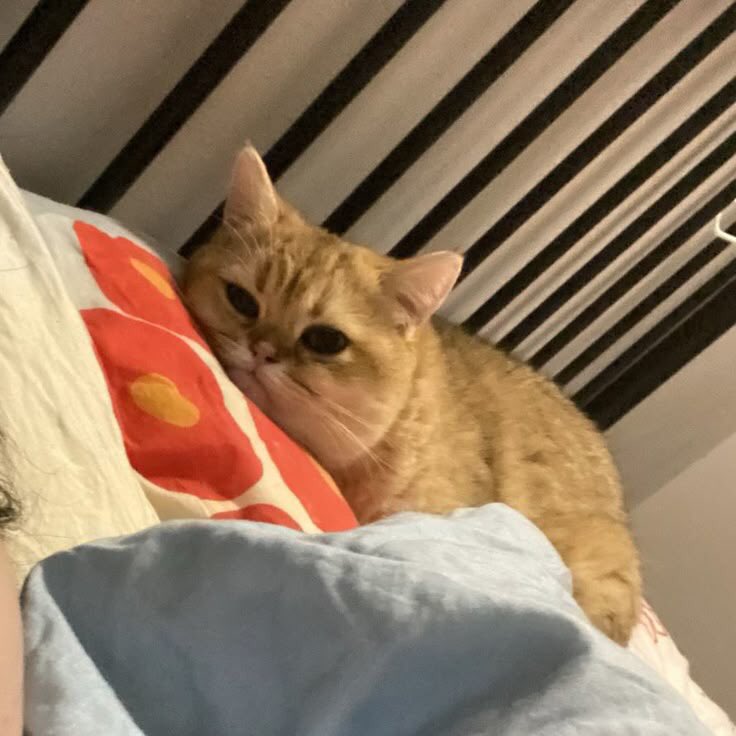 takemybear's tweet image. เทอนั่นแหละผิด
เทอนั่นแหละ นิสัยไม่ดี