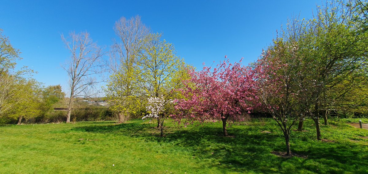 The campus at Surrey 🌞