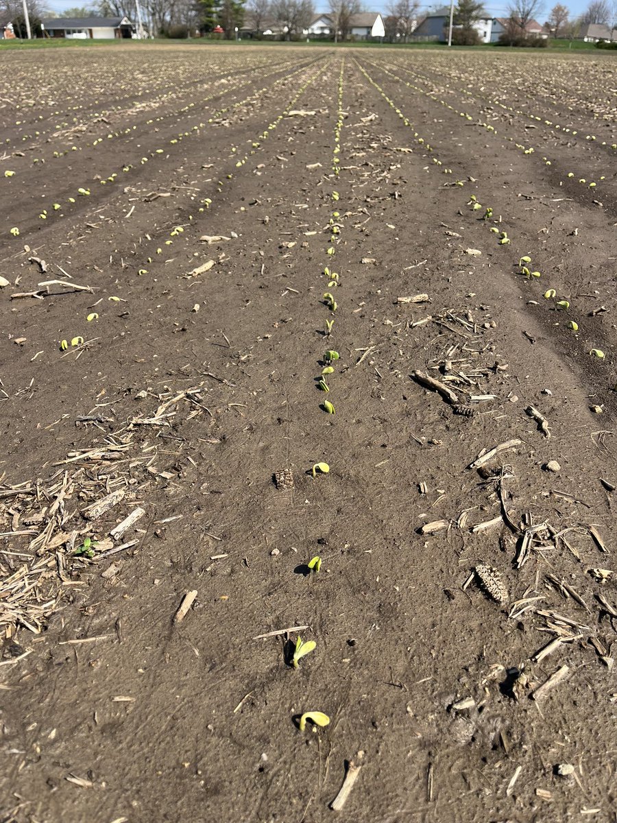 Mike hacker tweet media