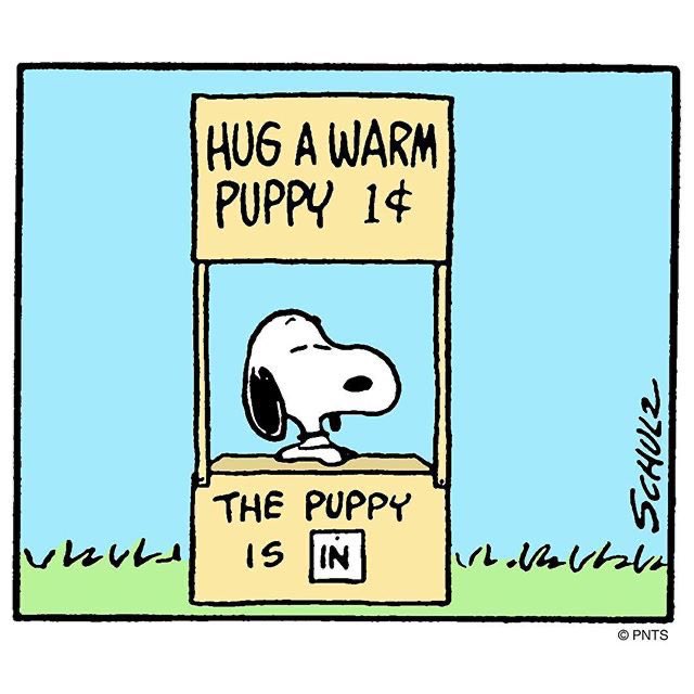 Daily Snoopy (@dailysnoopys) on Twitter photo 