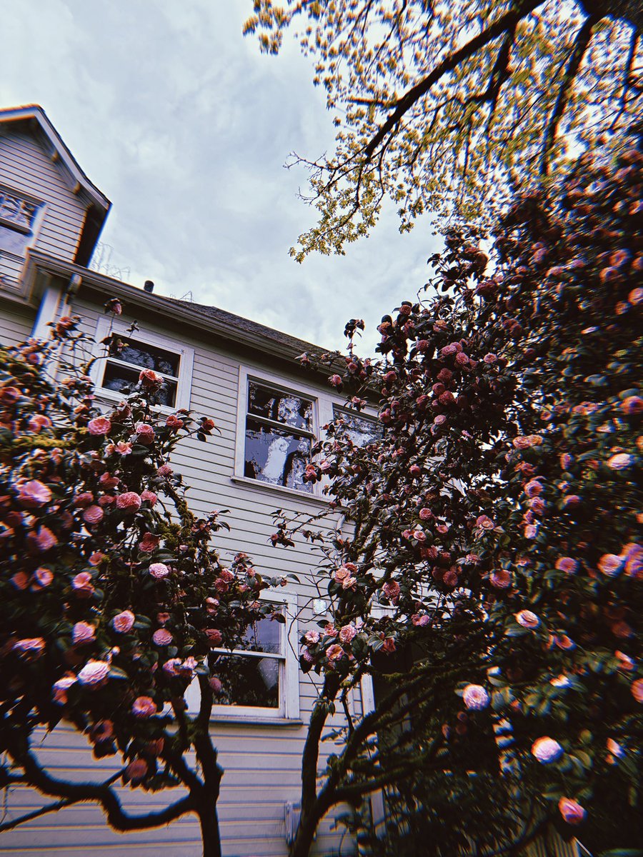 PrincessUnicorn 🦄✨ tweet media