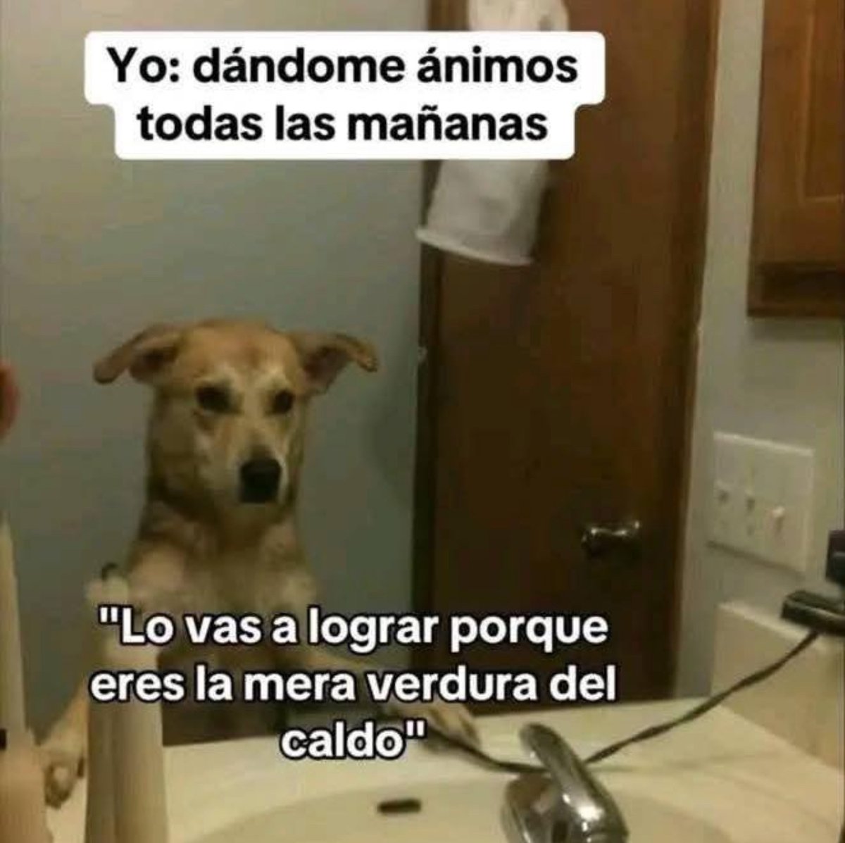 Motivación nivel: