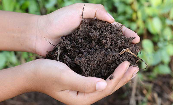 charmingfare's tweet photo. Order Your Compost, Super Loam &amp; Wood Chips Now for Spring! - https://t.co/7gC0uQOrNe https://t.co/G0HcyEce6X