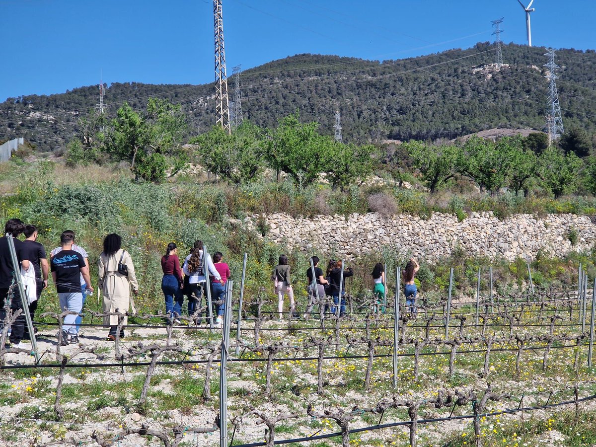 Els alumnes de 1r de Comerç Internacional i 1r d’Administració i Finances han visitat el Celler Mas Vicenç, un celler dedicat a l’elaboració i comercialització de vi. Un petit productor de vi obert al món, amb una tendència exportadora exponencial.  buff.ly/h3qrfF1