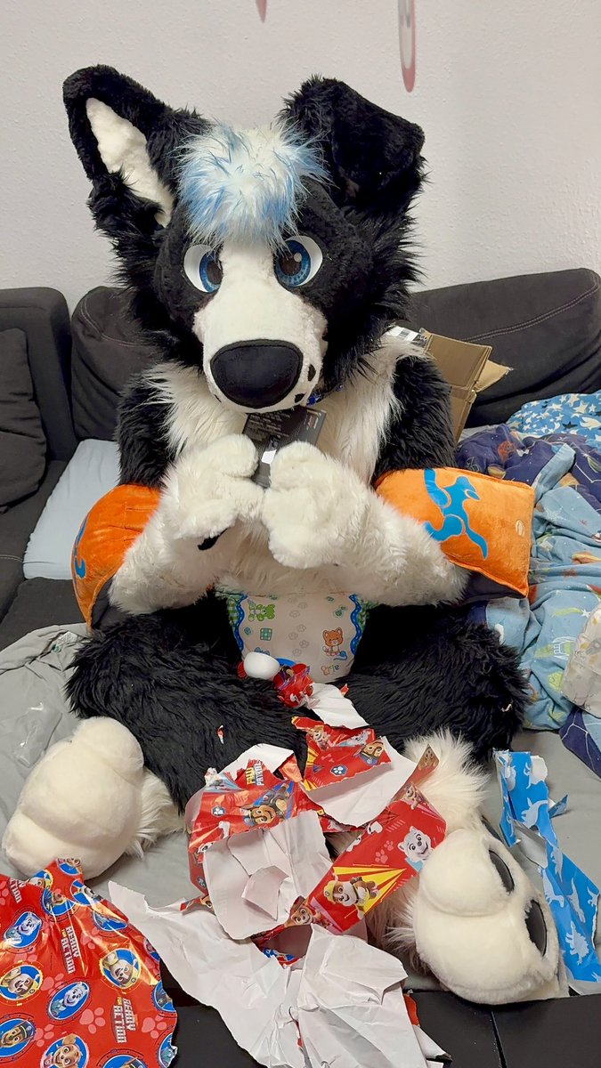 Little Collie tweet media