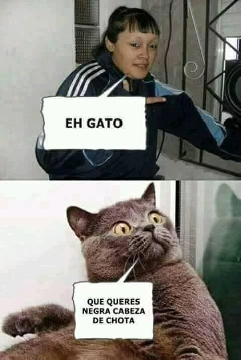 No doy más!!! 🤣🤣🤣🤣🤣