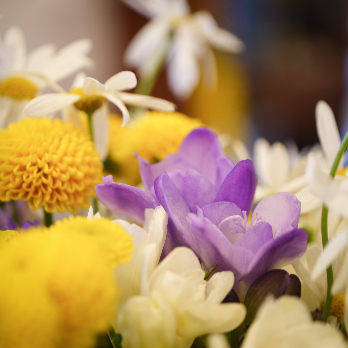 초방책방 tweet media