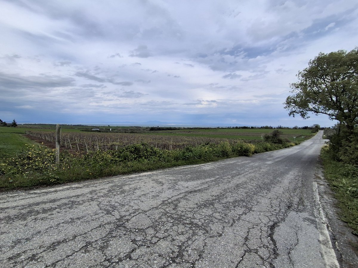 danielroebuc's tweet photo. I don't think this photo does it justice. This is the countryside we live in which is by the sea side. Once home to Alexander the great and the biggest settlement in Greece in the old times we are surrounded by beautiful country side and now thriving farmland. #greece #holiday https://t.co/UZv5zEHVNr
