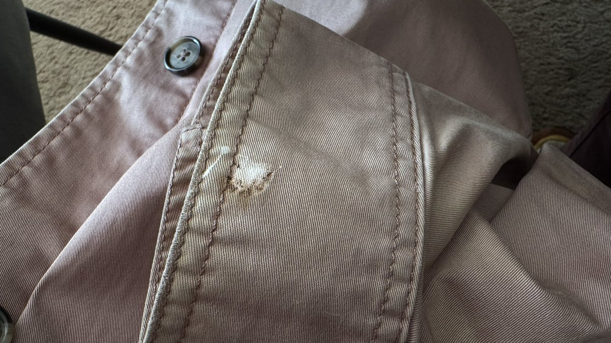 m shepherd tweet media