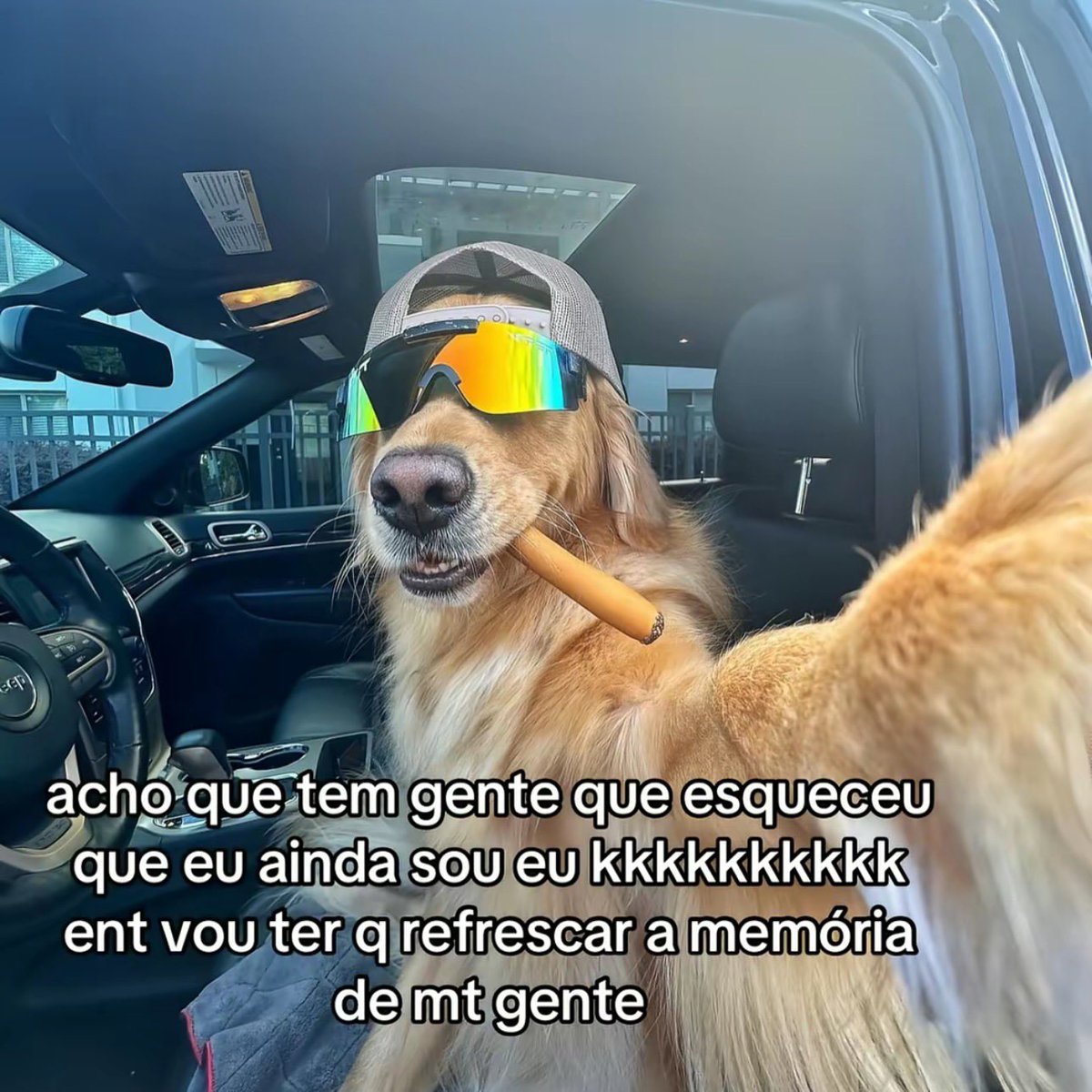 musa dos meme (@musadosmeme) on Twitter photo 