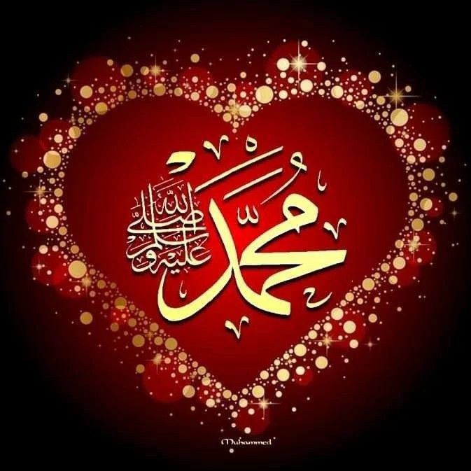 مهندس / تامر المشد tweet media