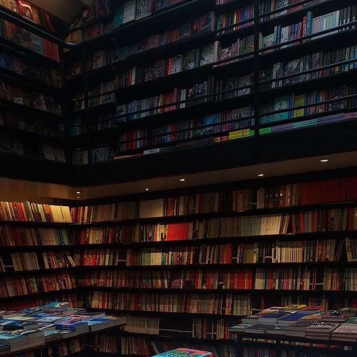 ⤷  livros lidos em 2025 ✎ᝰ.📓🗒ˎˊ˗
                                — a thread