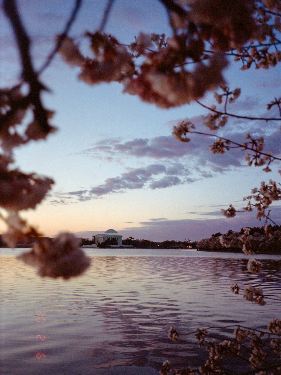 The film 🎞️ The photos.