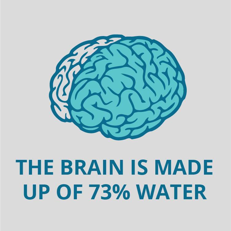 To support your mental and physical health, fuel your body with nutritious foods and water. An unhealthy/unbalanced diet and dehydration can negatively impact your mood, energy, and cognitive functions such as memory, focus and decision making. #MentalHealthMonday #Counseling