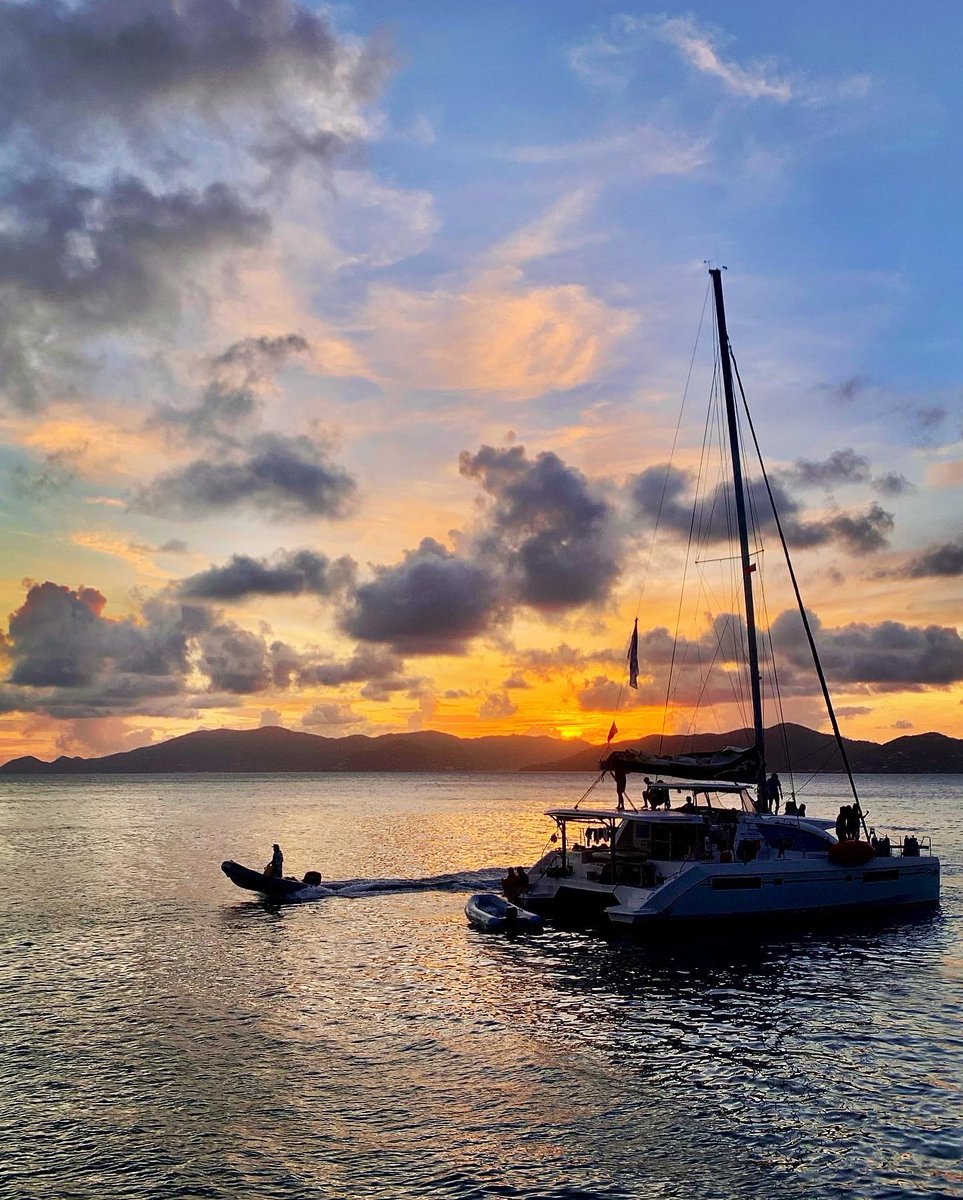 SeaTrek BVI tweet media