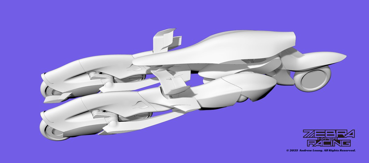 Raicing project 