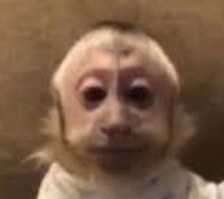 Chifu Krz tweet media