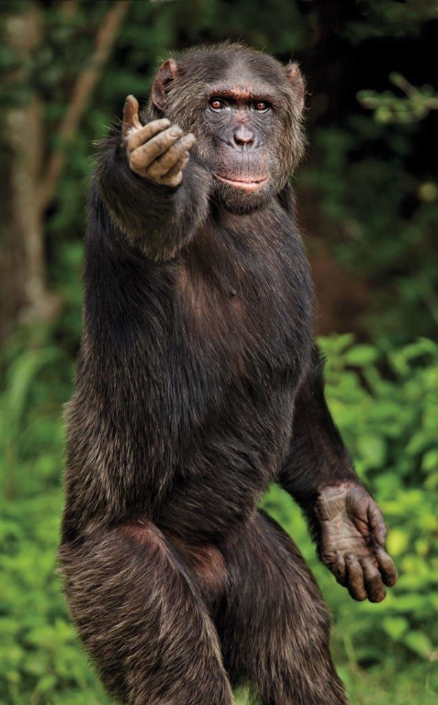 😎 Вечірні стрім з розминкою команди Monke, та залою очікування першого матчу. 

Очікується лютий ап ELO, та виключно перемоги!

➡️ Заходь, буде цікаво  (twitch.tv/thunder_oleg)😉