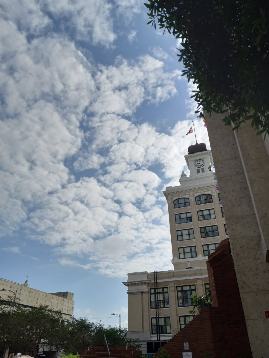 TampaWINNER's tweet photo. #Florida #PhotoWalk #Tampaphotography #streetphotography #DowntownTampa #Tampa #CityofTampa #TampaFL #TampaFlorida #HillsboroughFL #Hillsborough #MyHillsborough
#realtampa #unlocktampa #hiddentampa
#TampaTravel #DiscoverTampa #ExploreTampa #tampaartist #tampaart #tampadesign https://t.co/qgm0SEoaV2