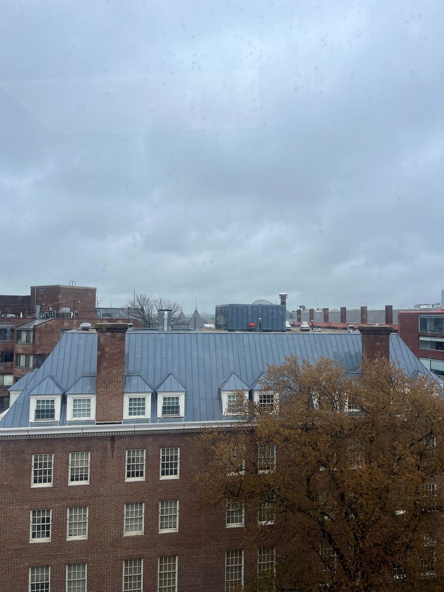 Cold and rainy day at Valinor HQ. Hit me up if you are in DC this week!