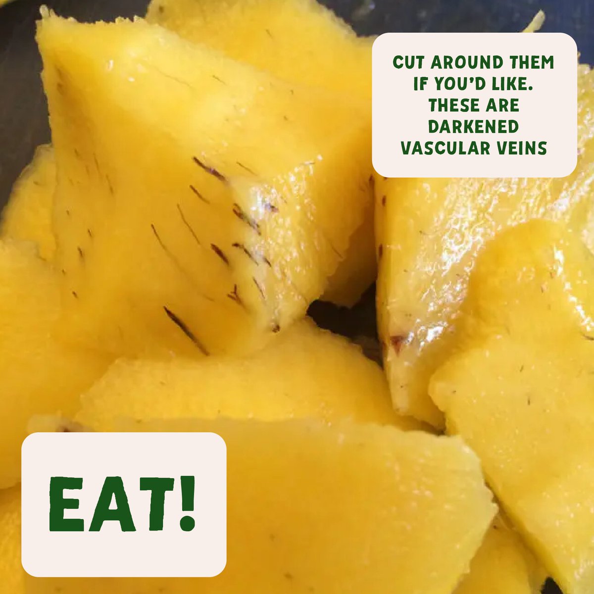 Food Waste Prevention Week (@savethefoodweek) on Twitter photo It's OFFICIALLY Food Waste Prevention Week and we've got your backstage pass to saving food, money, and the planet! Take our Eat or Toss Quiz to discover simple tips and stay tuned this week for tips, recipes, and webinars to help you be a food waste rockstar. It's OFFICIALLY Food Waste Prevention Week and we've got your backstage pass to saving food, money, and the planet! Take our Eat or Toss Quiz to discover simple tips and stay tuned this week for tips, recipes, and webinars to help you be a food waste rockstar.