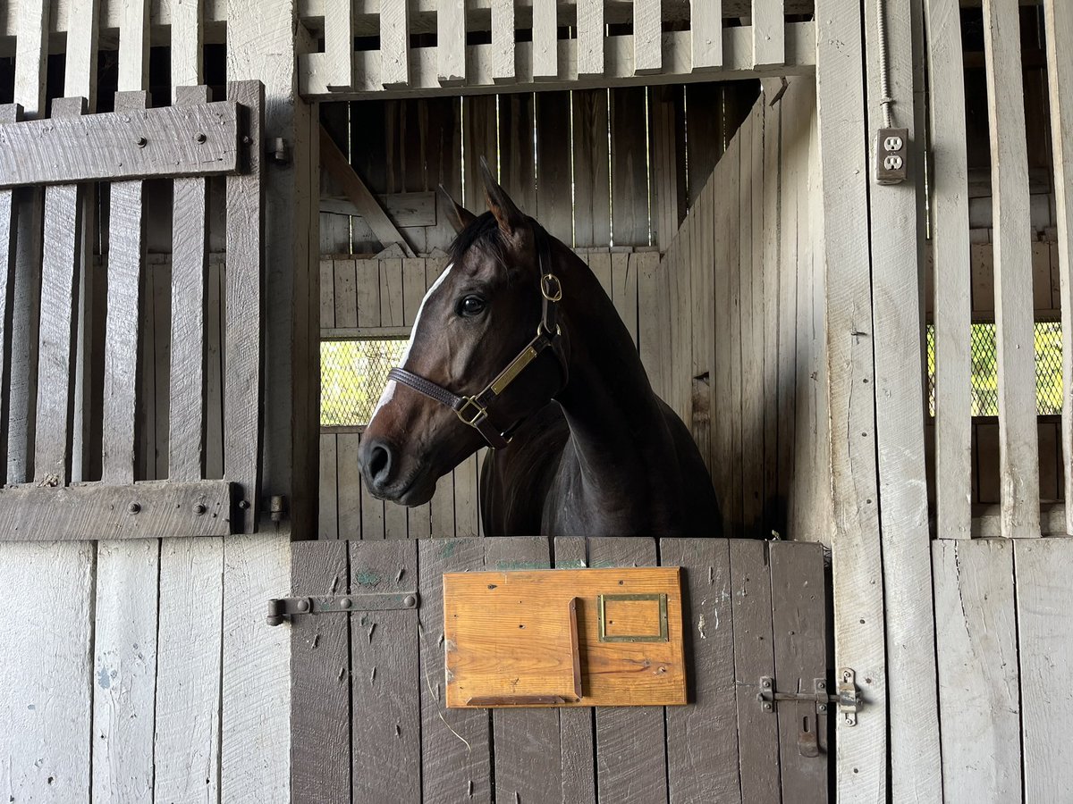 Ramiro A. Restrepo tweet media