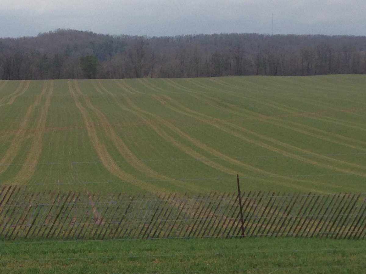 ⁦<a href="/JoshBoersen/">Josh Boersen</a>⁩