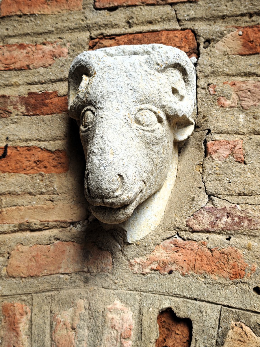 KatySnchez's tweet image. Cabeza de  carnero  en el patio del Monasterio de Santa Clara relacionado con el Pozo de la Salud  del #carrióndeloscondes #cabeza #carnero #monasterio #hacerfotos