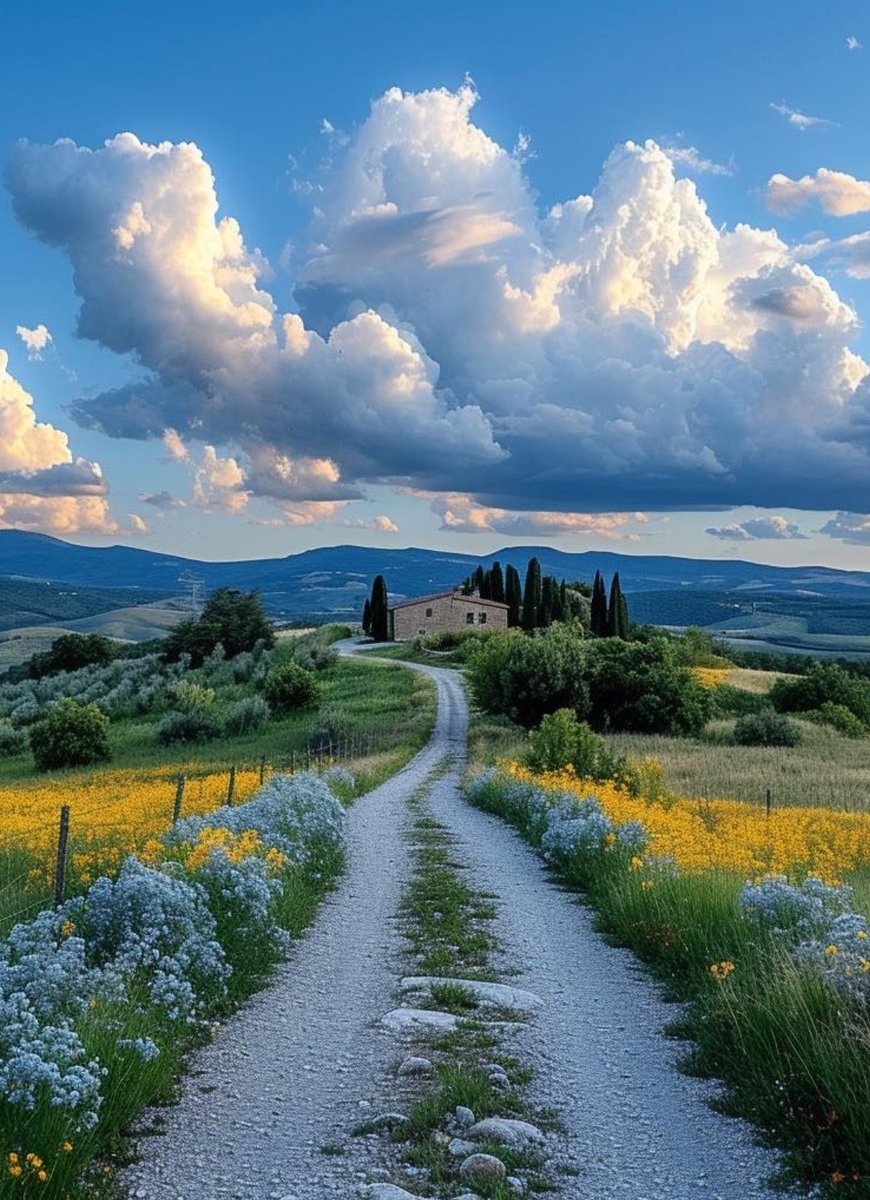 Beautiful evening ✨🌿