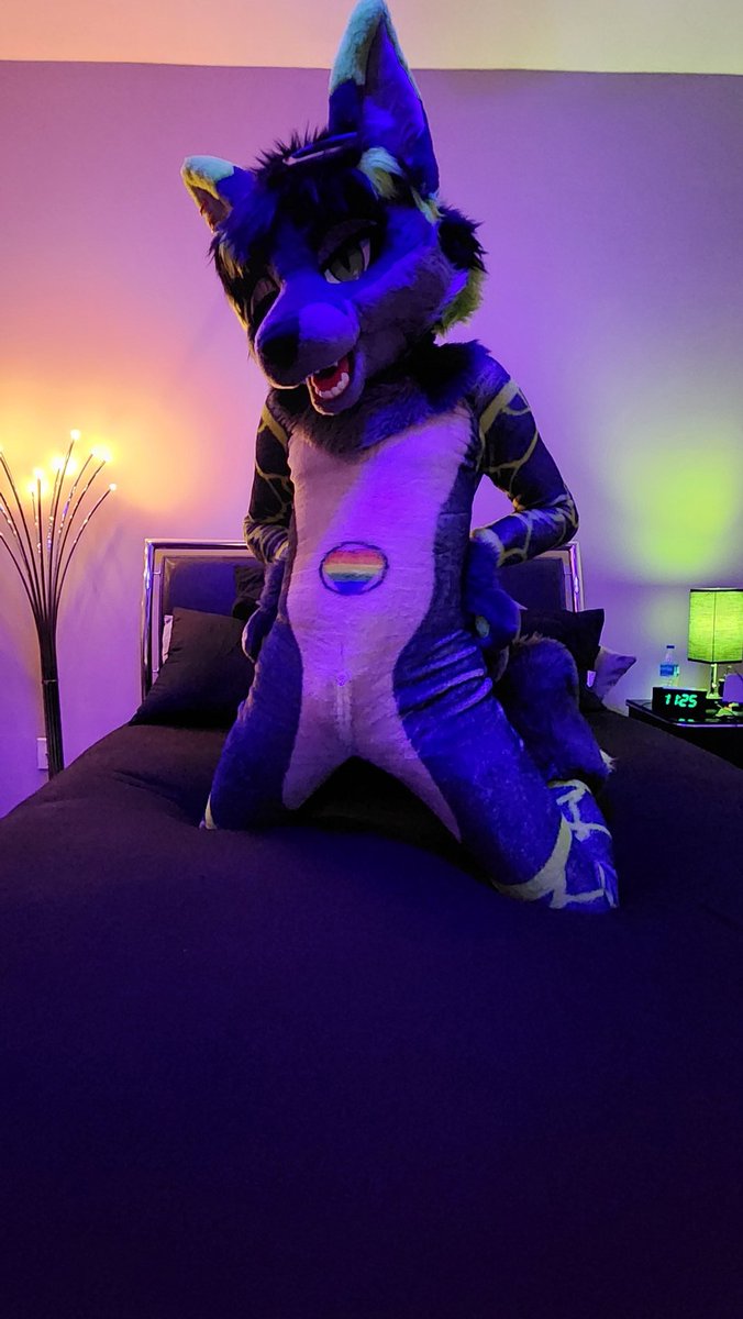 Got my furred petsuit from <a href="/PETSUITFORFUN/">PETSUIT ペットスーツ</a> the other day and the feeling is absolutely amazing while looking stellar!!