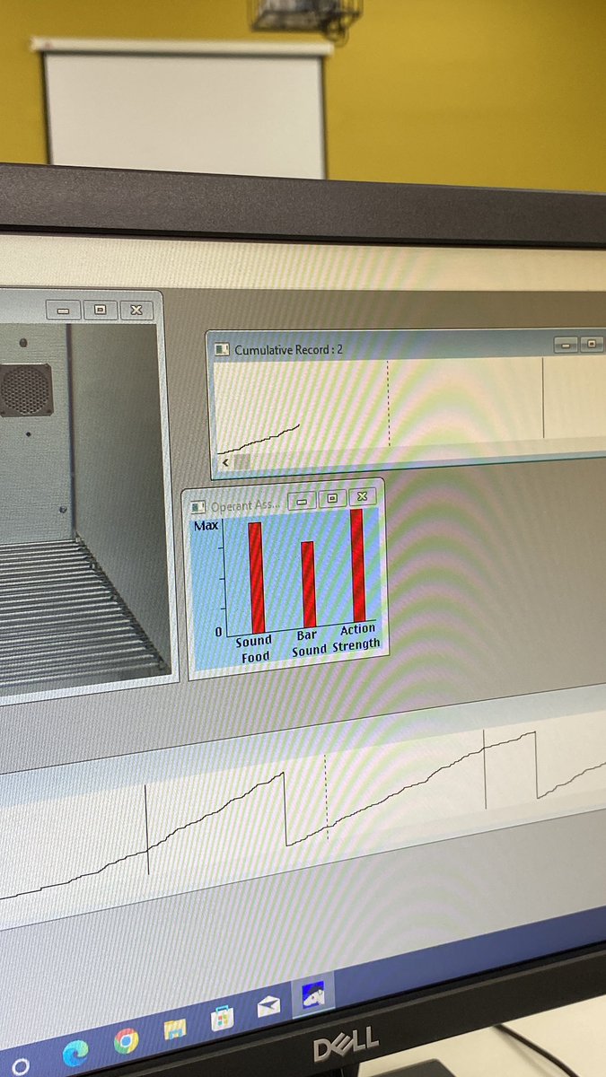 1zbstudy's tweet image. Finalmente 😭😭😭