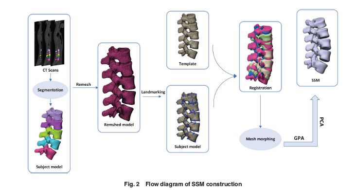 ASMEJournals's tweet photo. In this paper, a lumbar spine statistical shape model was developed to explain morphological differences in a population with adolescent idiopathic #scoliosis. https://t.co/tAme0Bzctd
#lumbarspine #shapes https://t.co/2v4koJm8tx